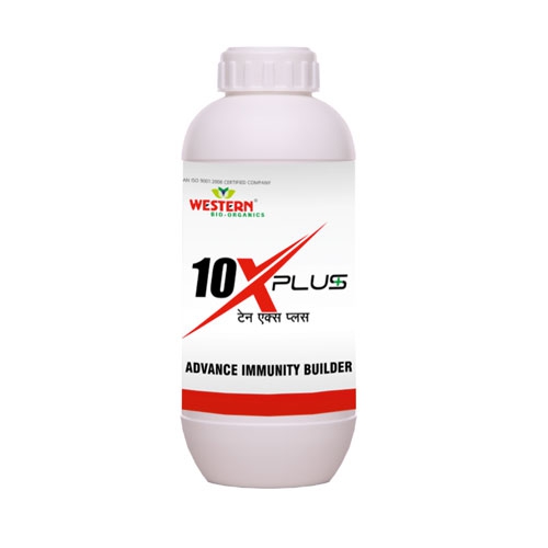 10 X Plus (1kg.)